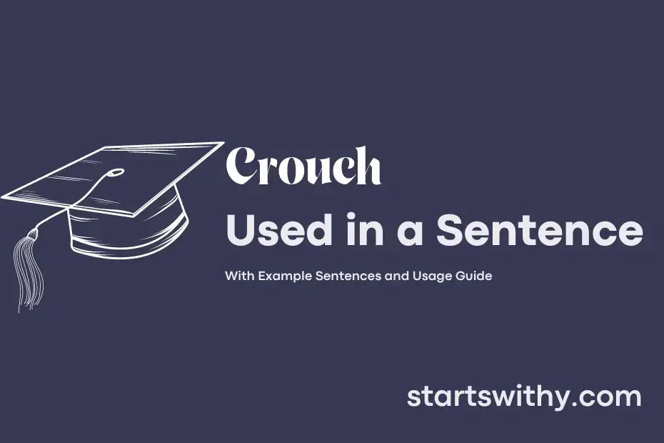 Crouch In A Sentence Examples Ways To Use Crouch