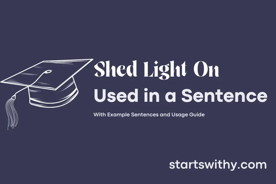 SHED LIGHT ON In A Sentence Examples 21 Ways To Use Shed Light On