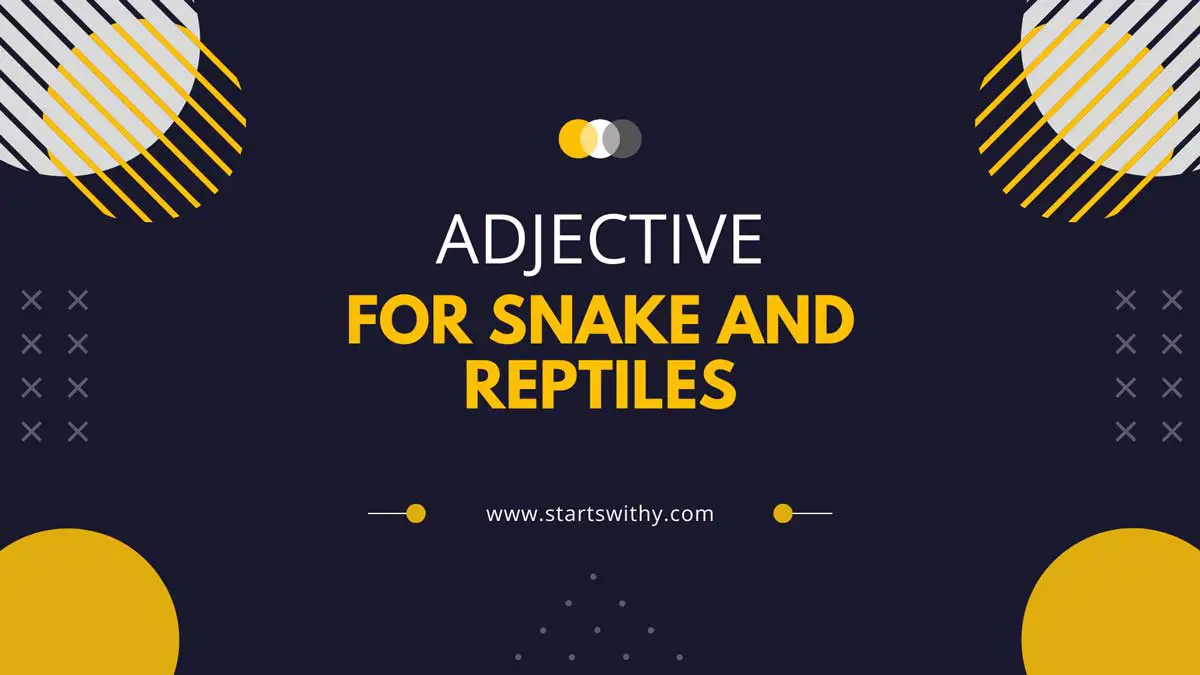 250-adjective-words-to-describe-snake-and-reptiles