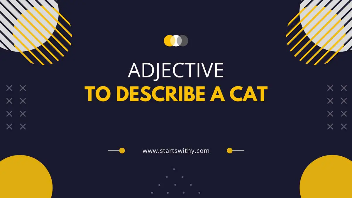 450-adjectives-to-describe-a-cat