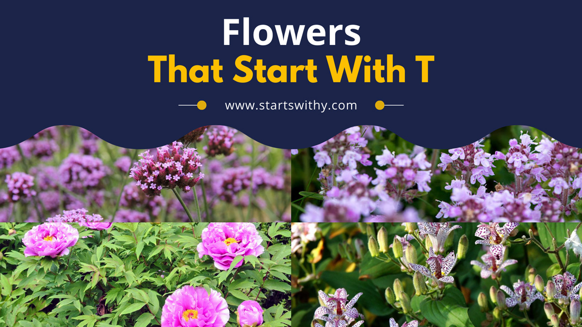 list-of-30-flowers-that-start-with-t-complete-list