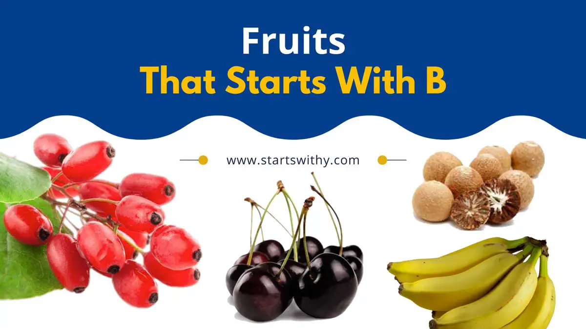 59+ Fruits That Start With B