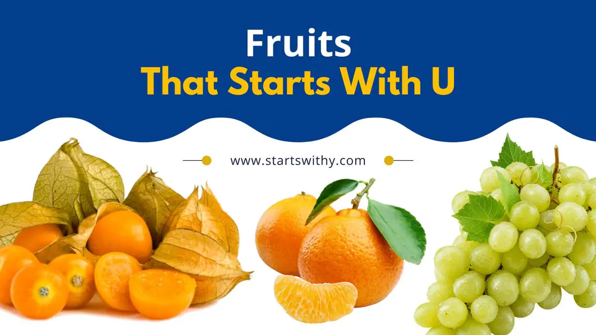 33 Fruits That Start With U