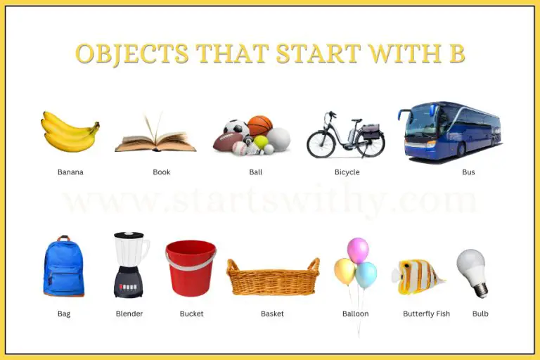 765+ Objects That Start With B