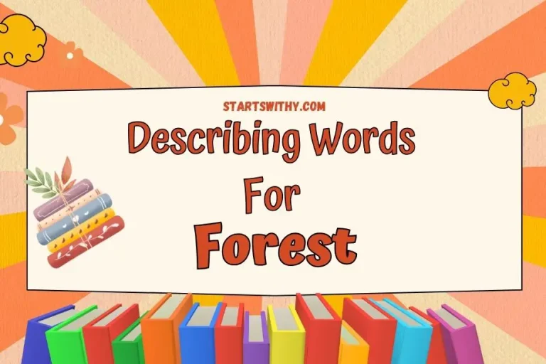 Describing Words for Forest | Examples & Synonyms