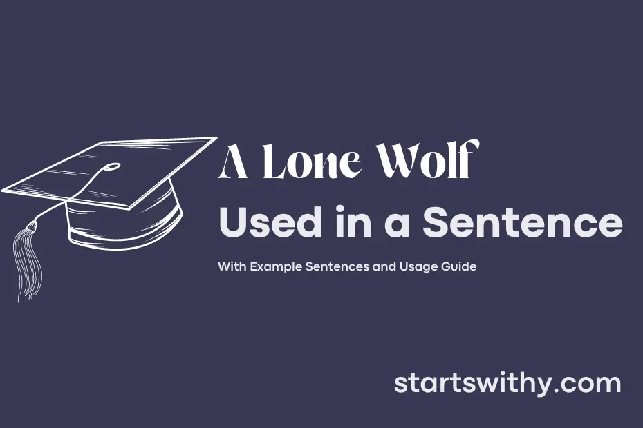 sentence with A Lone Wolf