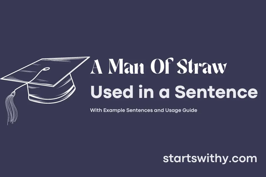 a-man-of-straw-in-a-sentence-examples-21-ways-to-use-a-man-of-straw