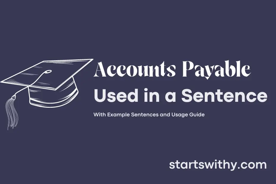 sentence with Accounts Payable