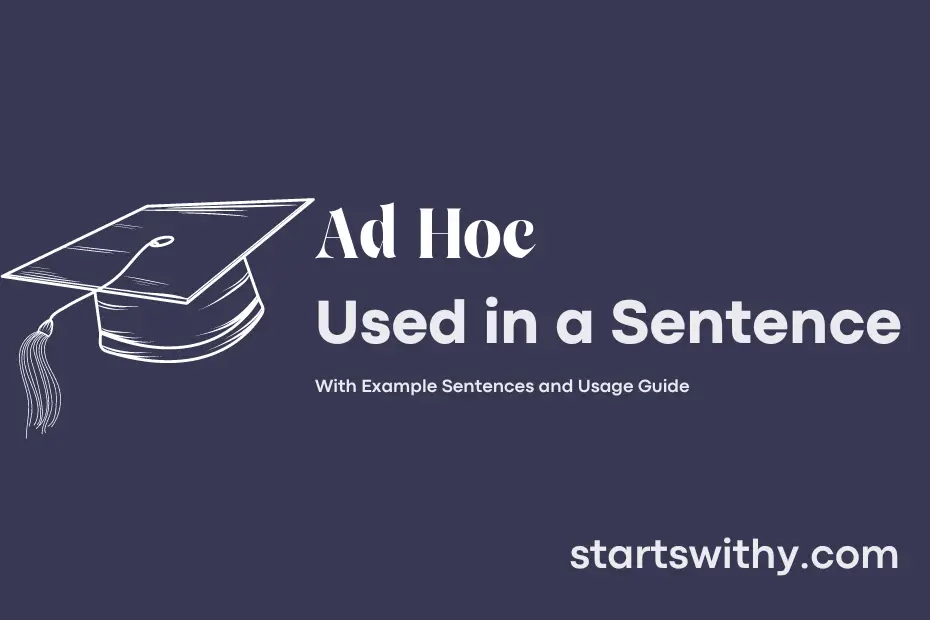 AD HOC in a Sentence Examples: 21 Ways to Use Ad Hoc