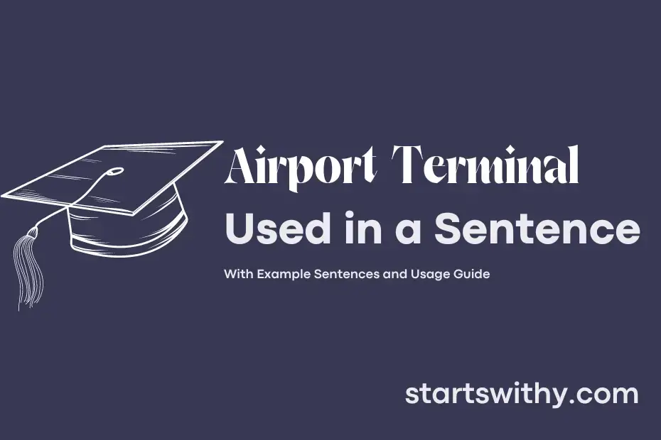 sentence with Airport Terminal