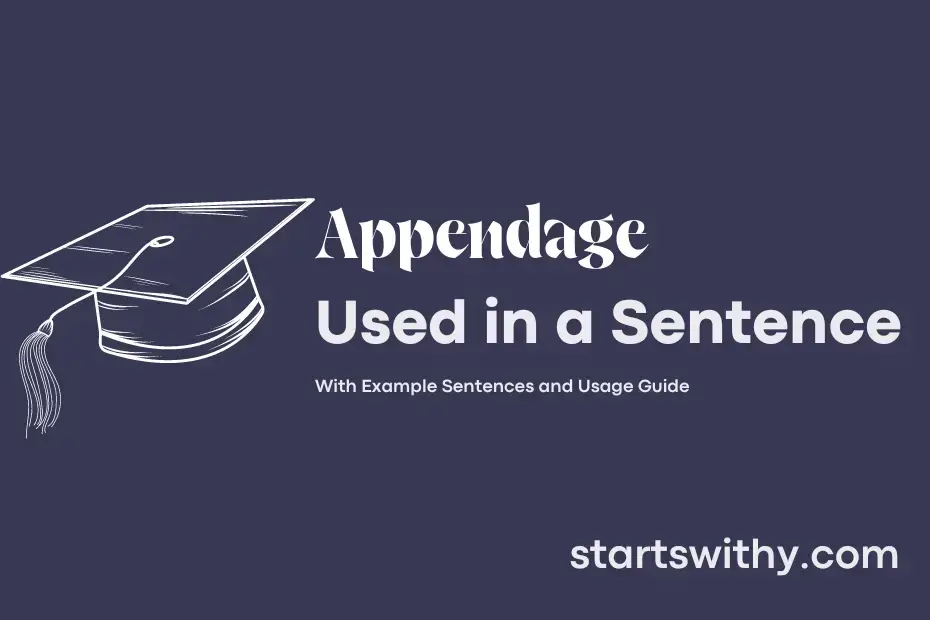 APPENDAGE in a Sentence Examples: 21 Ways to Use Appendage