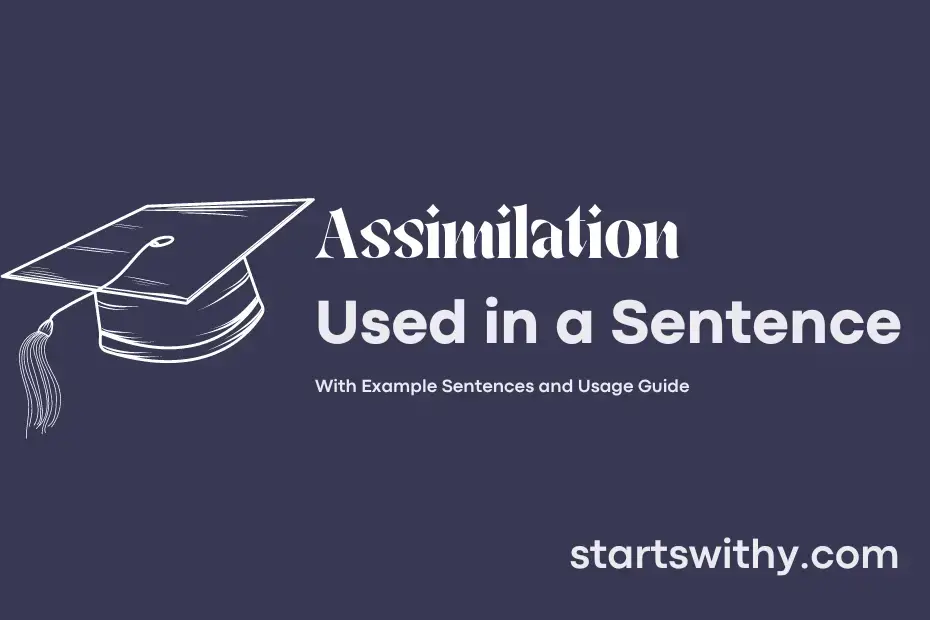 Assimilation In A Sentence Examples 21 Ways To Use Assimilation 