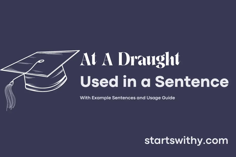 sentence with At A Draught