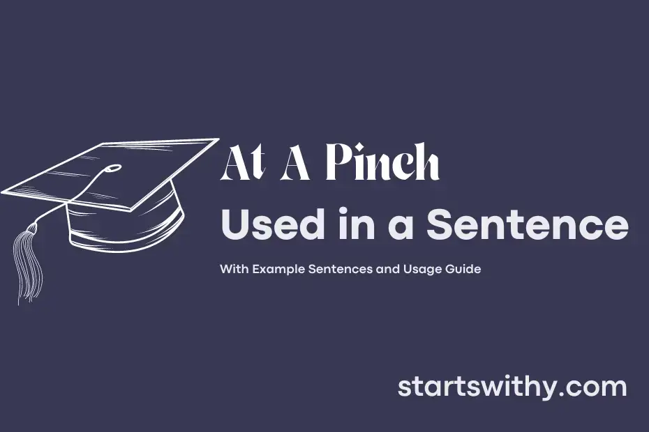 at-a-pinch-in-a-sentence-examples-21-ways-to-use-at-a-pinch