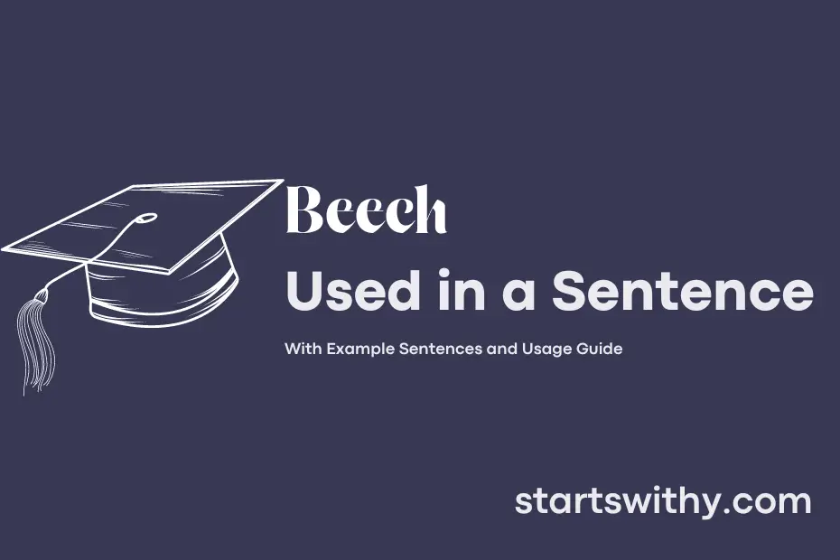 sentence with Beech