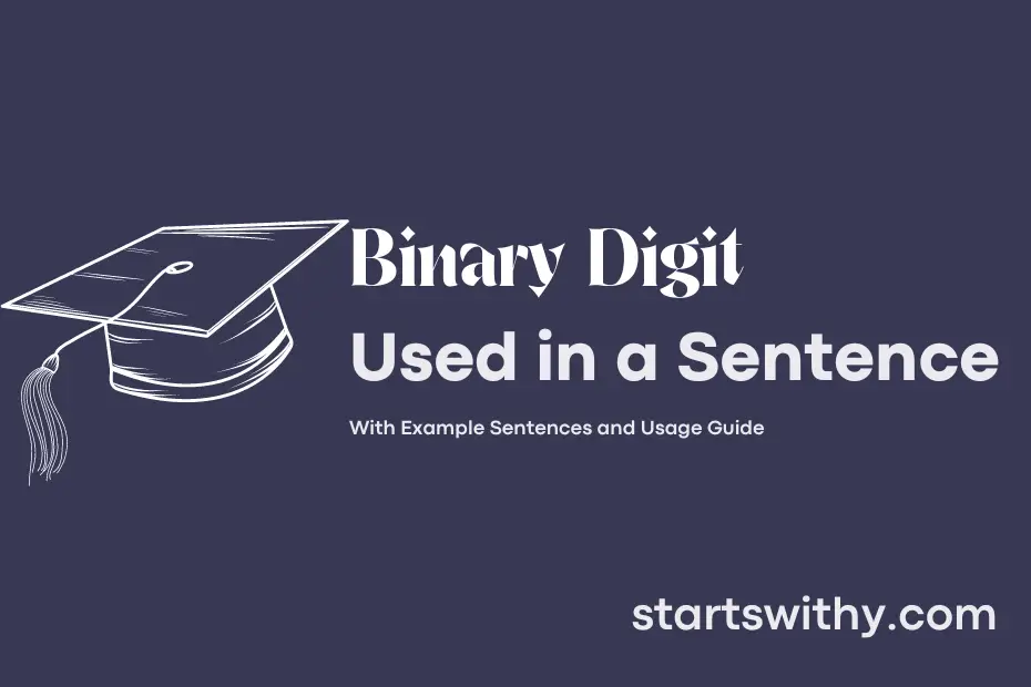 sentence with Binary Digit