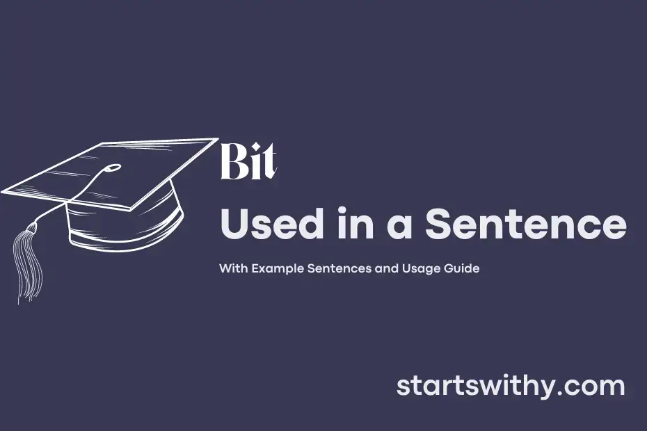 bit-in-a-sentence-examples-21-ways-to-use-bit