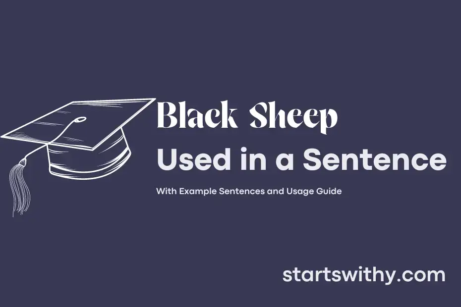 black-sheep-in-a-sentence-examples-21-ways-to-use-black-sheep