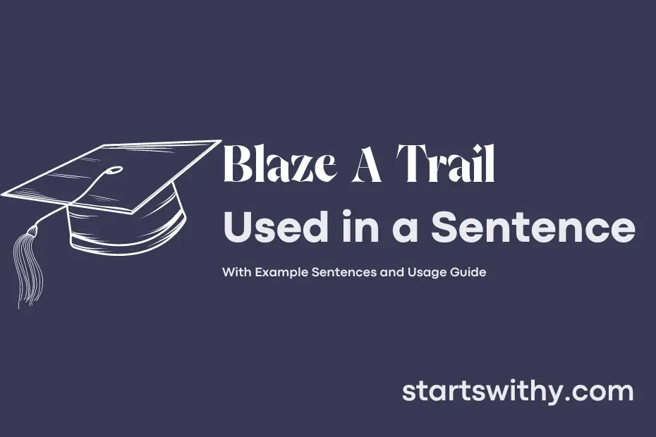 Blaze A Trail In A Sentence