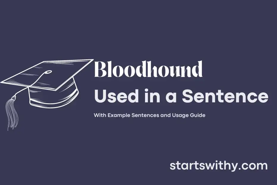 sentence with Bloodhound