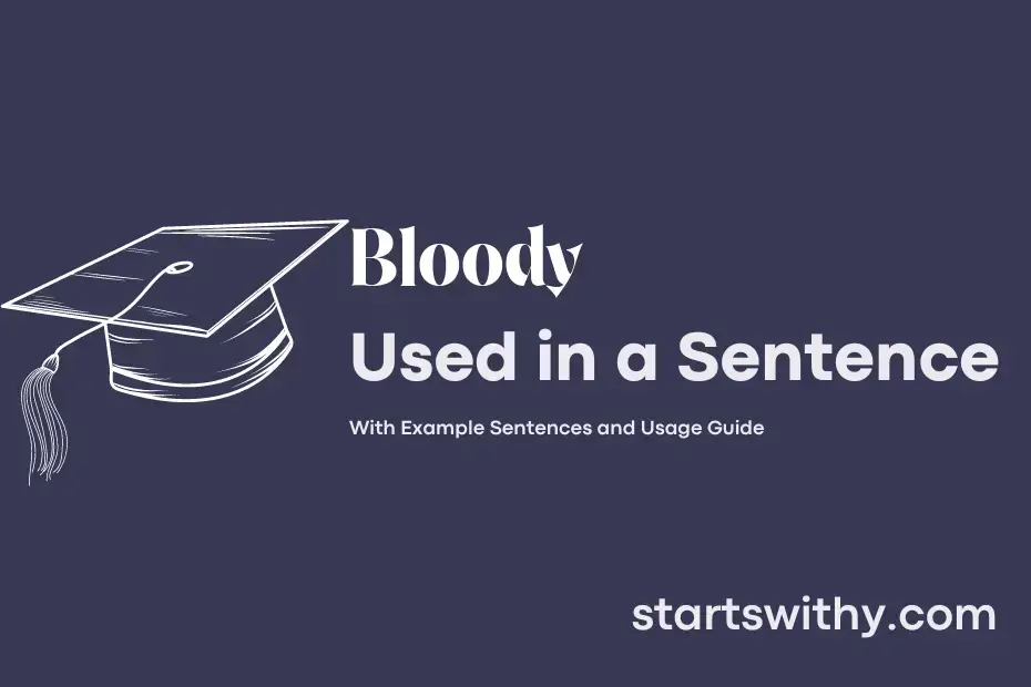  BLOODY In A Sentence Examples 21 Ways To Use Bloody