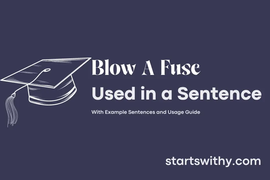 BLOW A FUSE In A Sentence Examples 21 Ways To Use Blow A Fuse