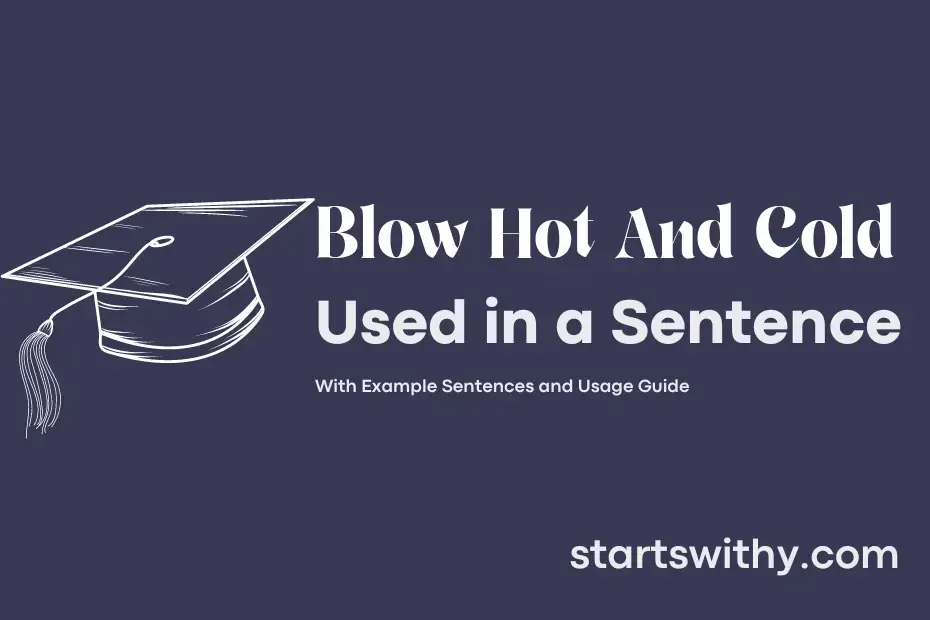 blow-hot-and-cold-in-a-sentence-examples-21-ways-to-use-blow-hot-and-cold