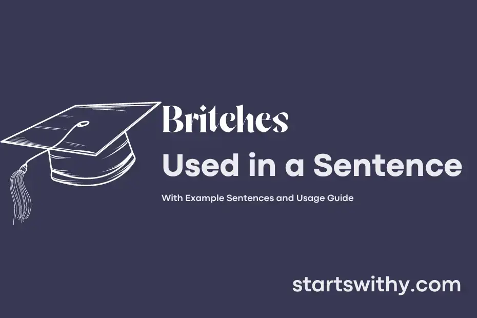 BRITCHES in a Sentence Examples: 21 Ways to Use Britches