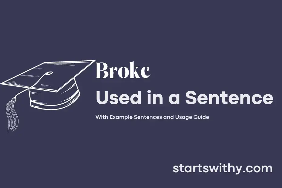 broke-in-a-sentence-examples-21-ways-to-use-broke