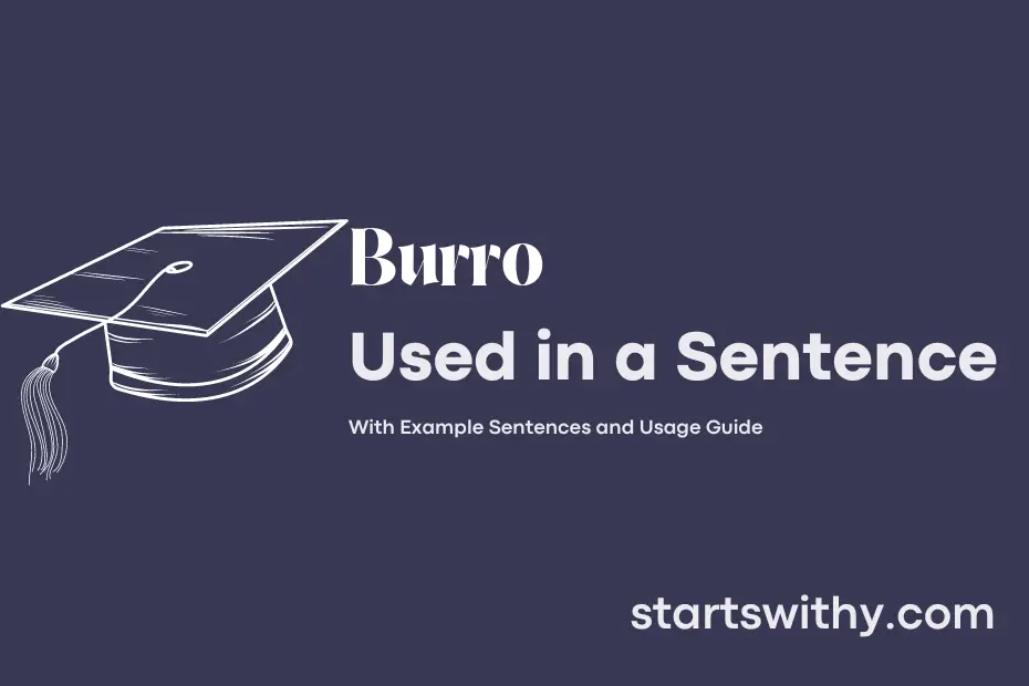 sentence with Burro