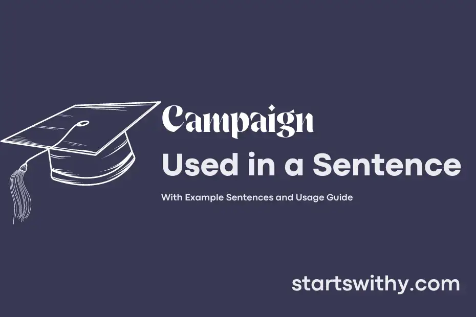 CAMPAIGN in a Sentence Examples: 21 Ways to Use Campaign