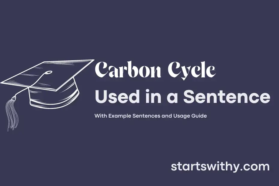 CARBON CYCLE in a Sentence Examples 21 Ways to Use Carbon Cycle