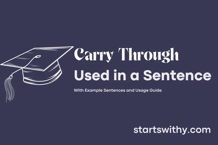 CARRY THROUGH In A Sentence Examples 21 Ways To Use Carry Through