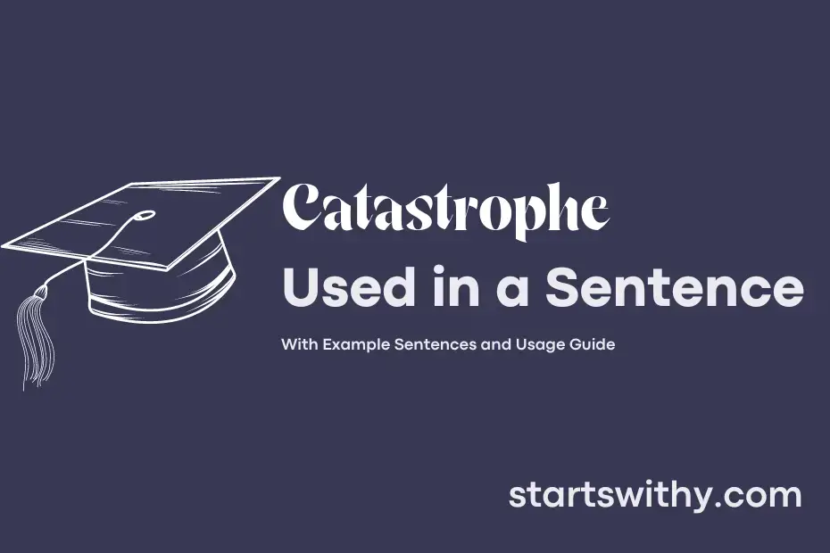 Use Catastrophe In A Sentence With Context Clues