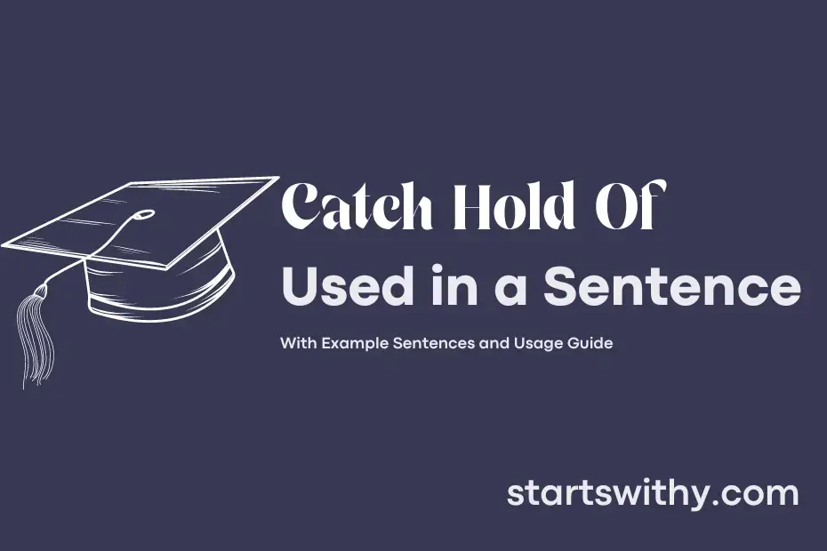 CATCH HOLD OF in a Sentence Examples 21 Ways to Use Catch Hold Of