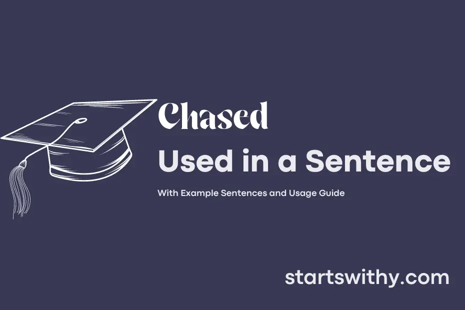 CHASED In A Sentence Examples 21 Ways To Use Chased