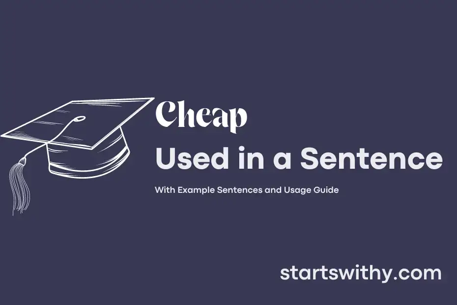 cheap-in-a-sentence-examples-21-ways-to-use-cheap