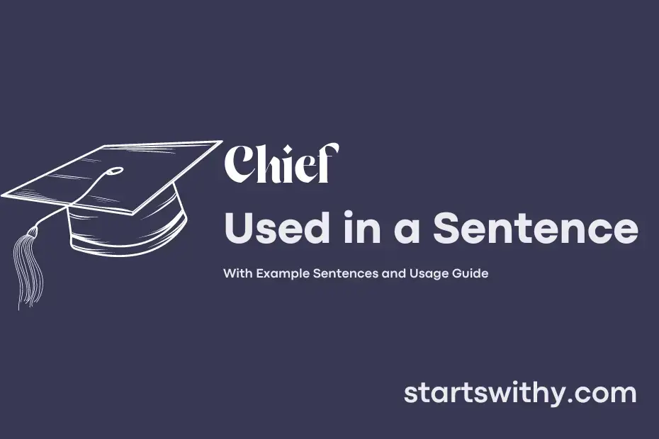 CHIEF in a Sentence Examples: 21 Ways to Use Chief