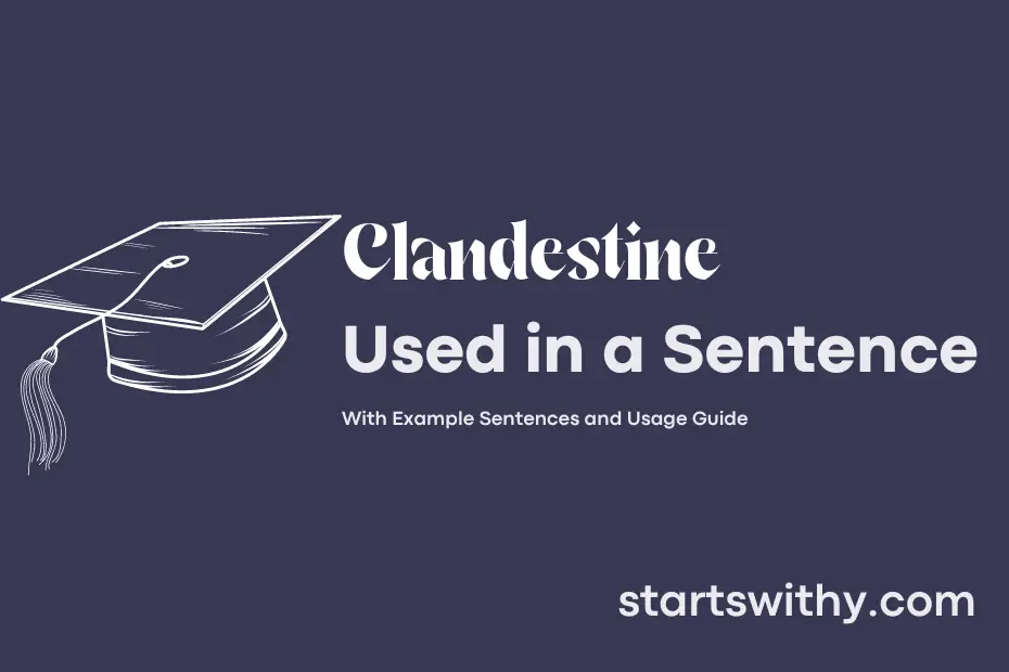 sentence with Clandestine