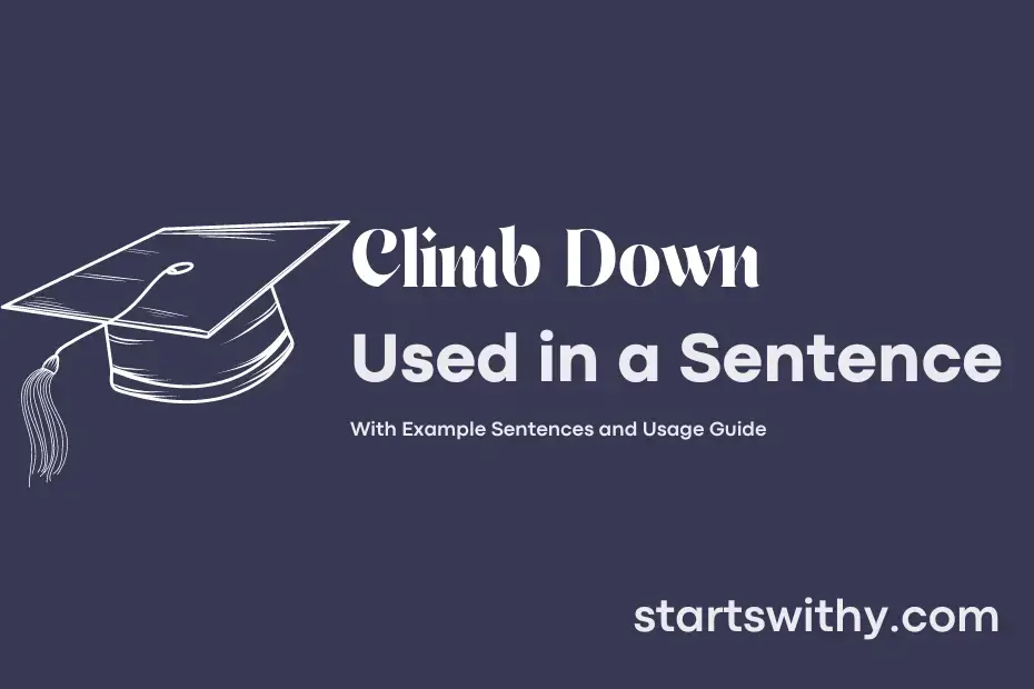 climb-down-in-a-sentence-examples-21-ways-to-use-climb-down