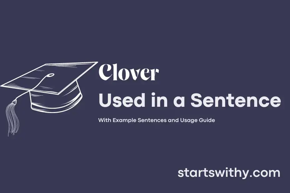 CLOVER in a Sentence Examples: 21 Ways to Use Clover