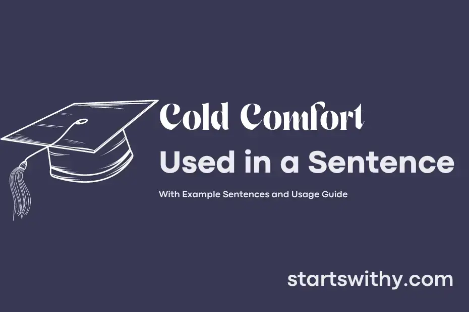 Make Sentence Using Cold Comfort