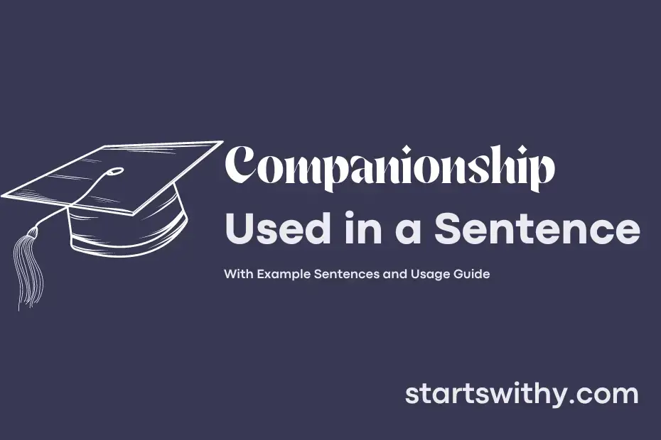 companionship-in-a-sentence-examples-21-ways-to-use-companionship