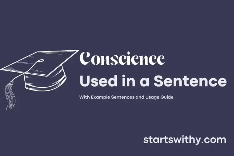 CONSCIENCE in a Sentence Examples 21 Ways to Use Conscience