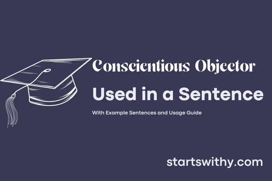 conscientious-objector-in-a-sentence-examples-21-ways-to-use