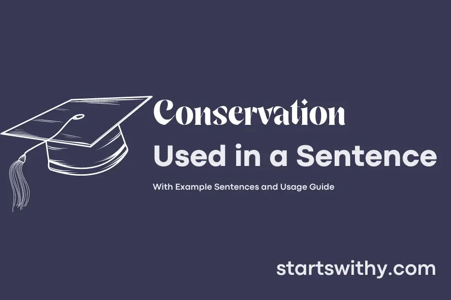 conservation-in-a-sentence-examples-21-ways-to-use-conservation