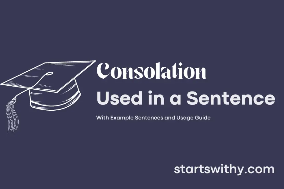 consolation-in-a-sentence-examples-21-ways-to-use-consolation