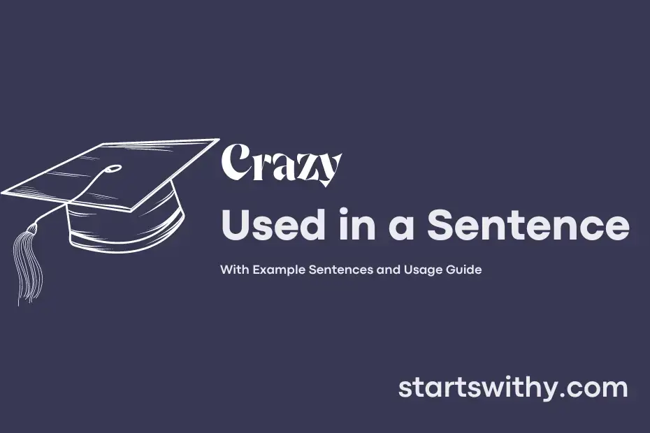 crazy-in-a-sentence-examples-21-ways-to-use-crazy