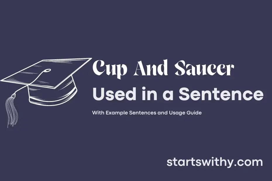 cup-and-saucer-in-a-sentence-examples-21-ways-to-use-cup-and-saucer