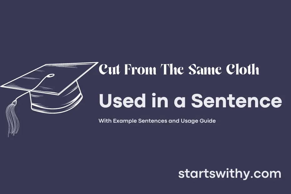 sentence with Cut From The Same Cloth